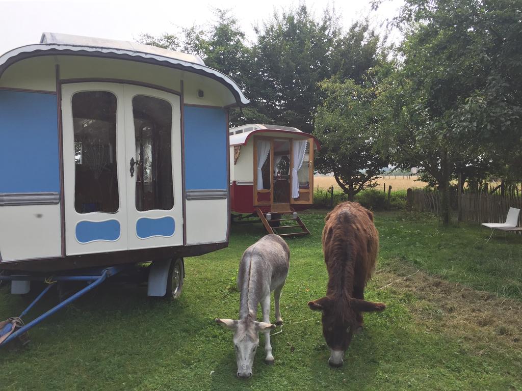 B&B Vennehoeve Vremde Bagian luar foto